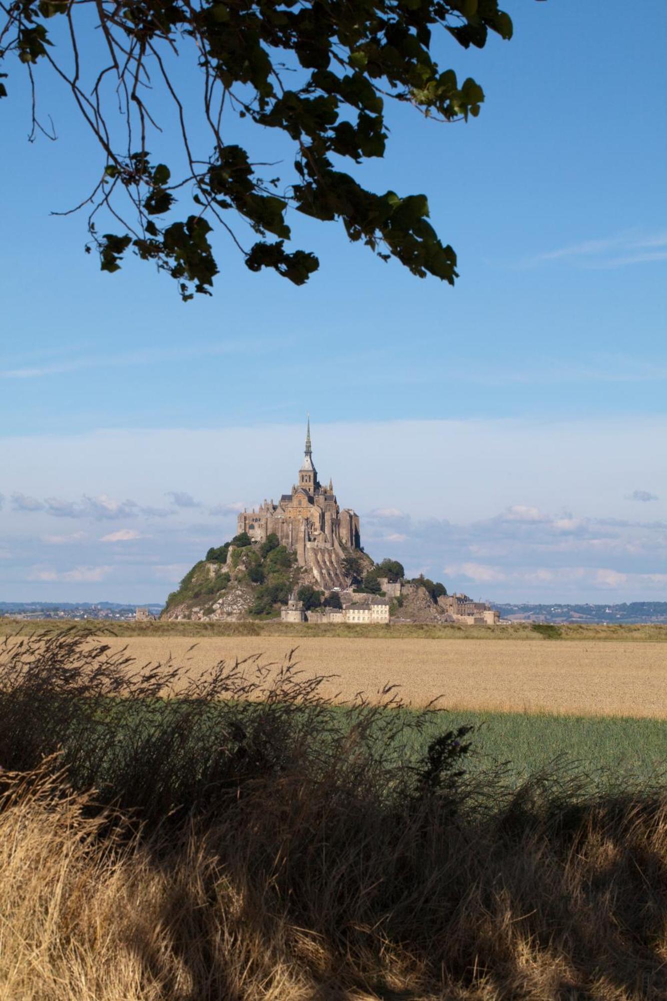 Chateau De La Ballue - Teritoria Val-Couesnon エクステリア 写真