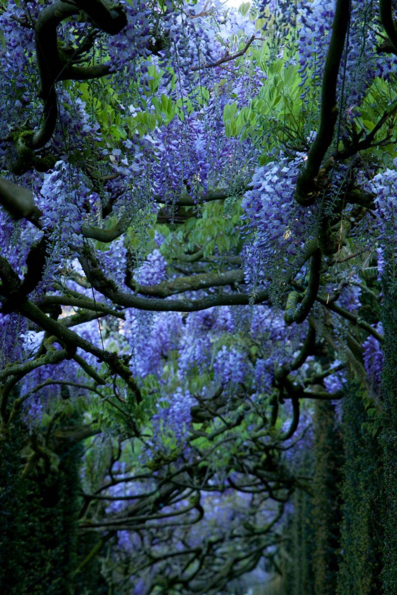 Chateau De La Ballue - Teritoria Val-Couesnon エクステリア 写真