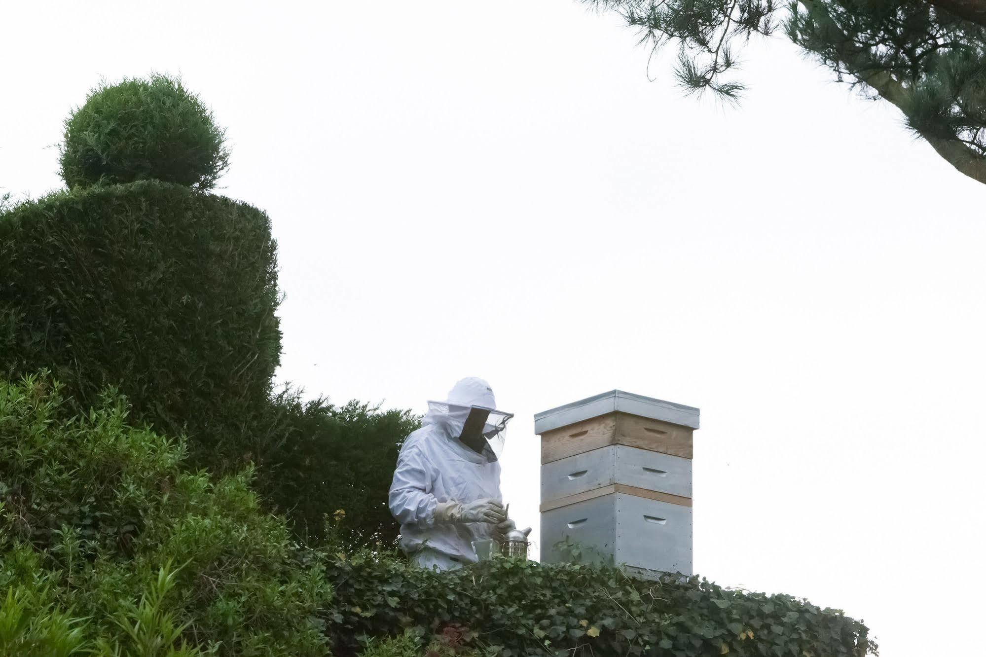 Chateau De La Ballue - Teritoria Val-Couesnon エクステリア 写真